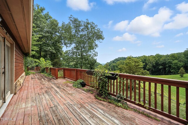 366 Bowman Creek Rd, Blountville, TN 37617 - photo 20