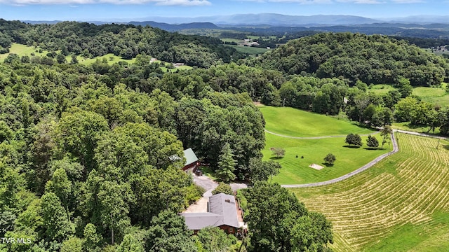366 Bowman Creek Rd, Blountville, TN 37617 - photo 22