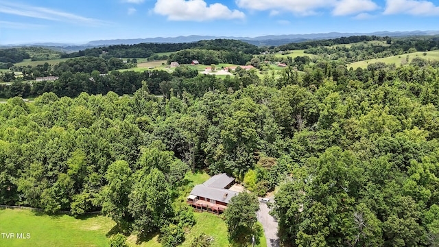 366 Bowman Creek Rd, Blountville, TN 37617 - photo 24