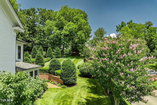 300 W Main St, Jonesborough, TN 37659 - photo 94