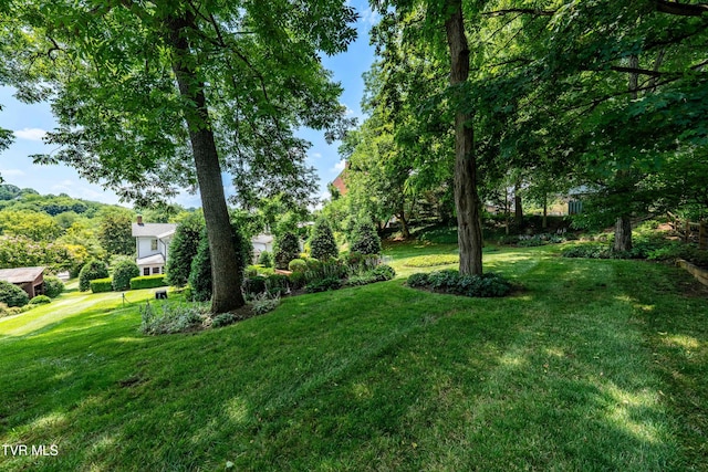 300 W Main St, Jonesborough, TN 37659 - photo 85