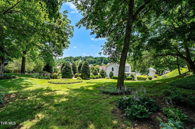 300 W Main St, Jonesborough, TN 37659 - photo 86