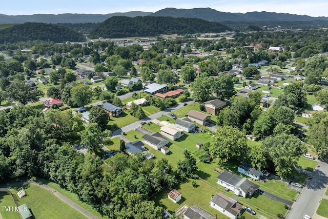 1509 E Holston Ave, Johnson City, TN 37601 - photo 18