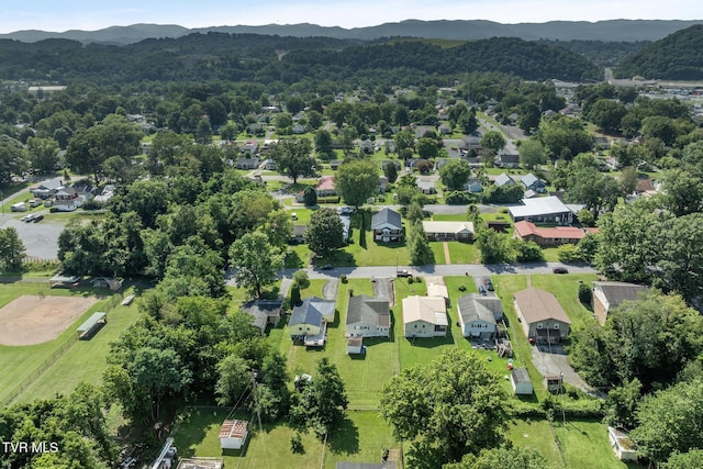 1509 E Holston Ave, Johnson City, TN 37601 - photo 19