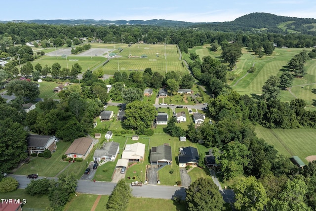 1509 E Holston Ave, Johnson City, TN 37601 - photo 24