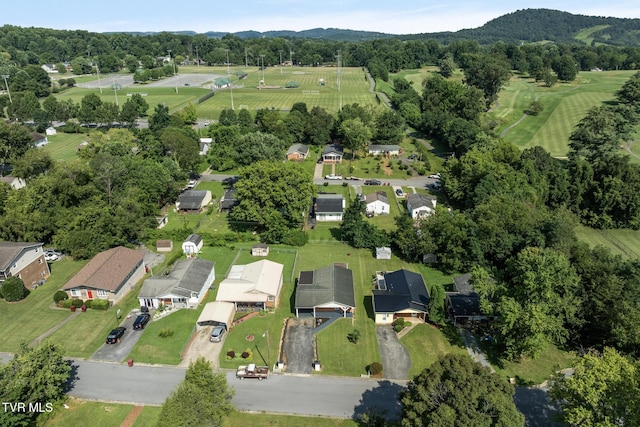 1509 E Holston Ave, Johnson City, TN 37601 - photo 40