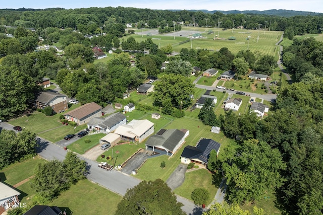1509 E Holston Ave, Johnson City, TN 37601 - photo 41