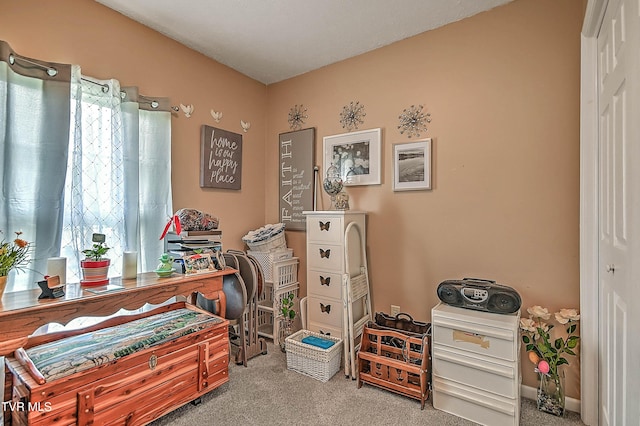 503 Cedar St, Mount Carmel, TN 37645 - photo 31