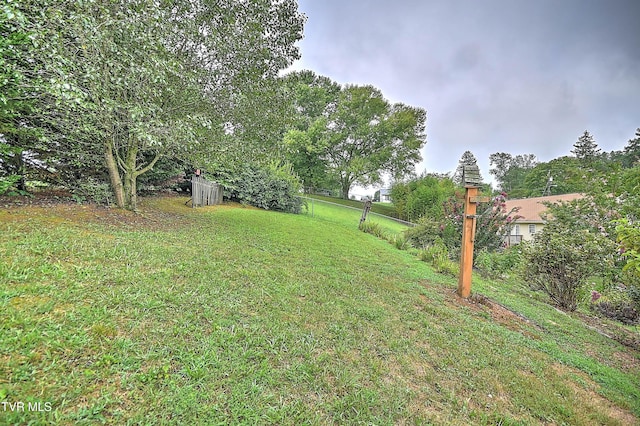 503 Cedar St, Mount Carmel, TN 37645 - photo 11