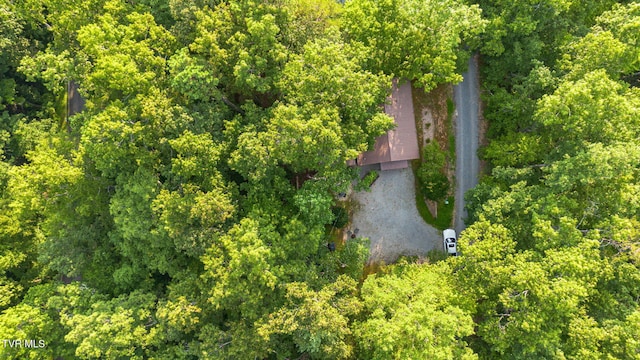 2025 Ridgecrest Loop Ln, Sevierville, TN 37876 - photo 11
