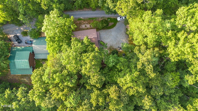 2025 Ridgecrest Loop Ln, Sevierville, TN 37876 - photo 12