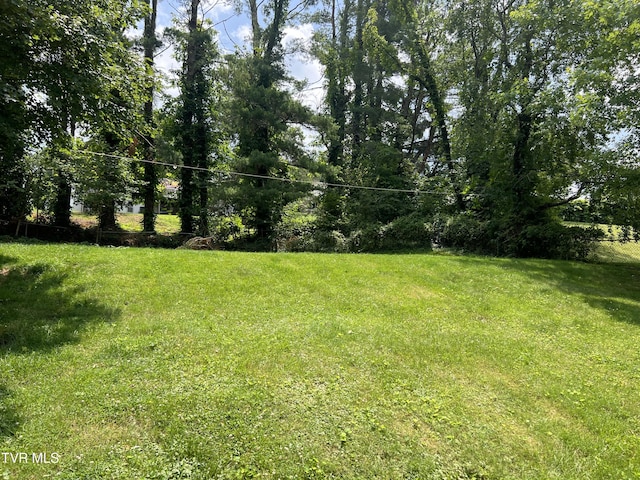 703 Rolling Hills Dr, Johnson City, TN 37604 - photo 13