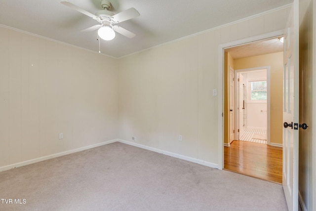 2104 Southcote Dr, Kingsport, TN 37660 - photo 36