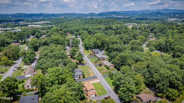 2104 Southcote Dr, Kingsport, TN 37660 - photo 53