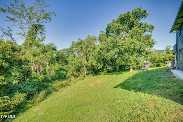 250 Riggs Rd, Watauga, TN 37694 - photo 31