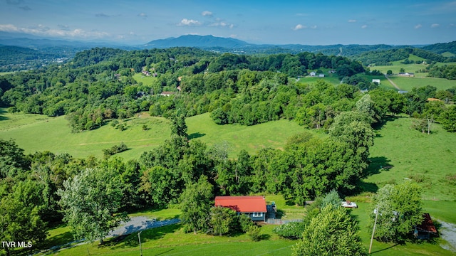 250 Riggs Rd, Watauga, TN 37694 - photo 34