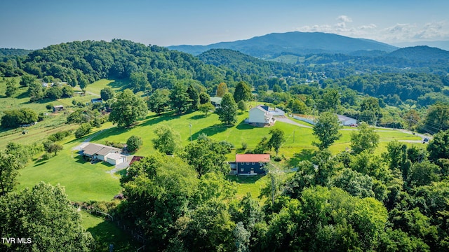 250 Riggs Rd, Watauga, TN 37694 - photo 35