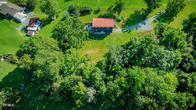 250 Riggs Rd, Watauga, TN 37694 - photo 36