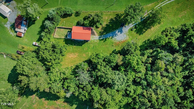 250 Riggs Rd, Watauga, TN 37694 - photo 37