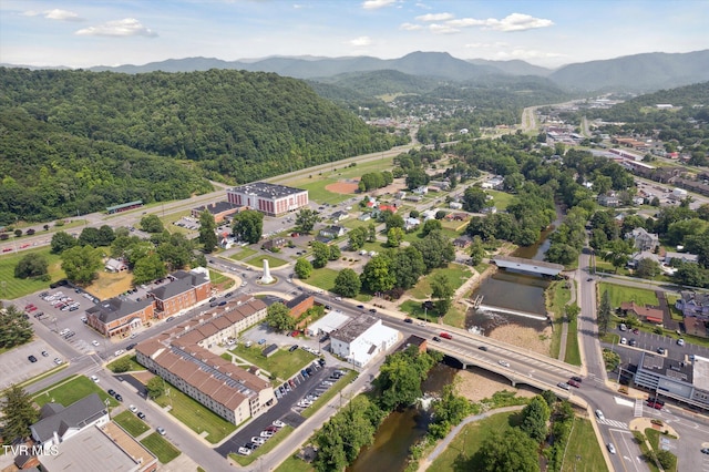707 E Elk Ave Unit 0, Elizabethton, TN 37643 - photo 36