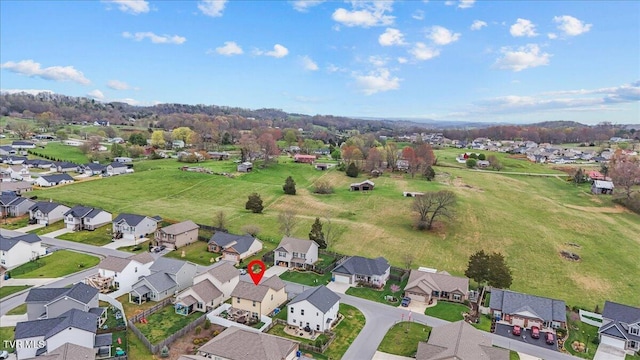 1271 Lemongrass Dr, Jonesborough, TN 37659 - photo 51