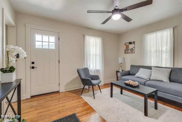 808 Edison St, Kingsport, TN 37665 - photo 5