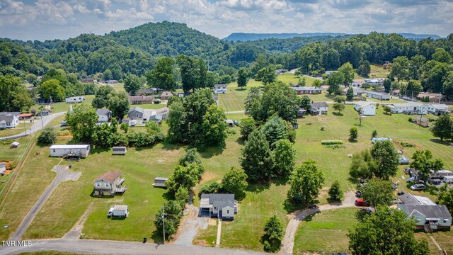 808 Edison St, Kingsport, TN 37665 - photo 24