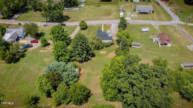 808 Edison St, Kingsport, TN 37665 - photo 25