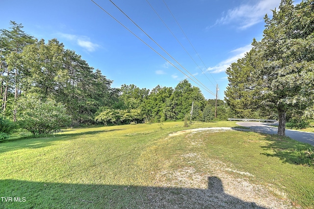 805 Dixie Rd, Greeneville, TN 37743 - photo 14