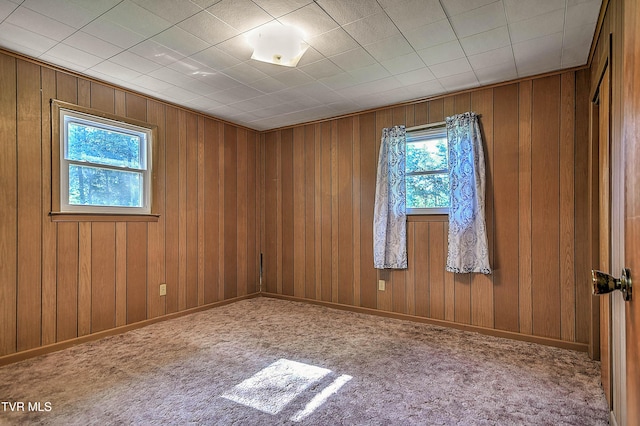 805 Dixie Rd, Greeneville, TN 37743 - photo 30