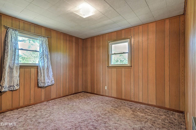 805 Dixie Rd, Greeneville, TN 37743 - photo 35