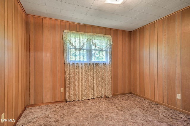 805 Dixie Rd, Greeneville, TN 37743 - photo 40