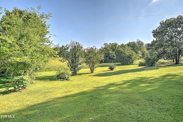 805 Dixie Rd, Greeneville, TN 37743 - photo 8