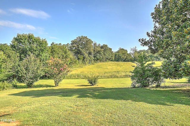 805 Dixie Rd, Greeneville, TN 37743 - photo 7