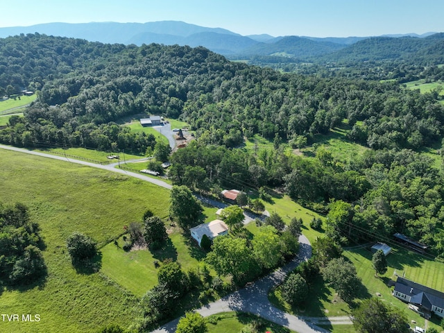805 Dixie Rd, Greeneville, TN 37743 - photo 46