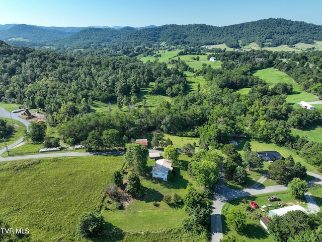 805 Dixie Rd, Greeneville, TN 37743 - photo 47