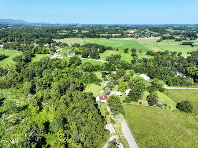 805 Dixie Rd, Greeneville, TN 37743 - photo 49
