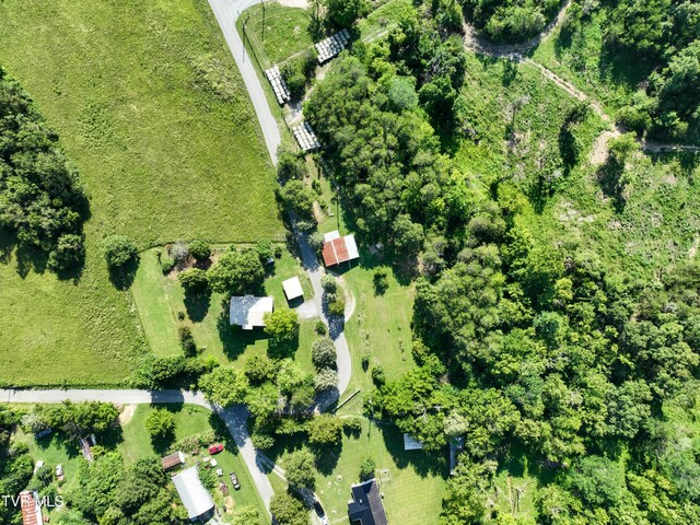 805 Dixie Rd, Greeneville, TN 37743 - photo 58