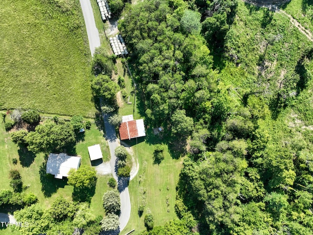 805 Dixie Rd, Greeneville, TN 37743 - photo 61