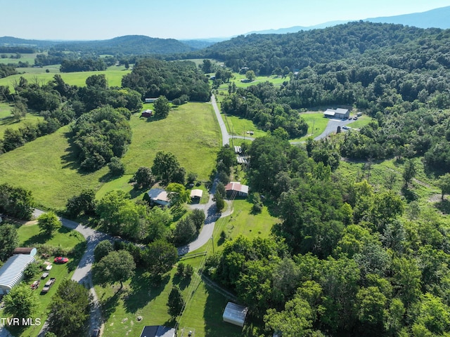 805 Dixie Rd, Greeneville, TN 37743 - photo 62