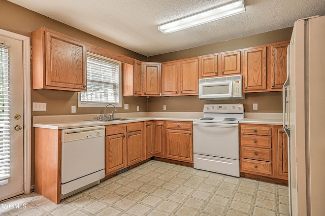 44 Tulip Grove Cir Unit 3, Bristol, TN 37620 - photo 14
