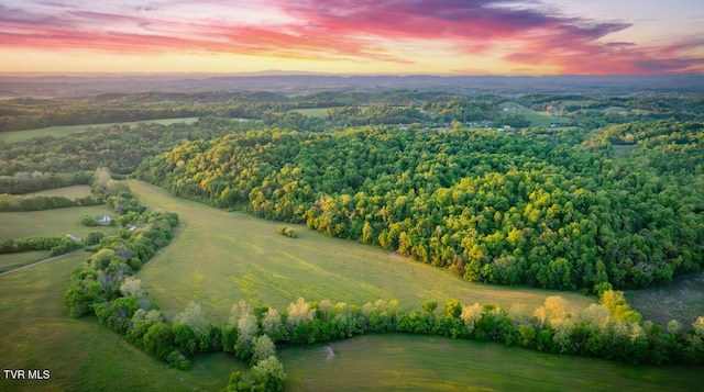 4045 S Mohawk Rd, Midway, TN 37809 - photo 1