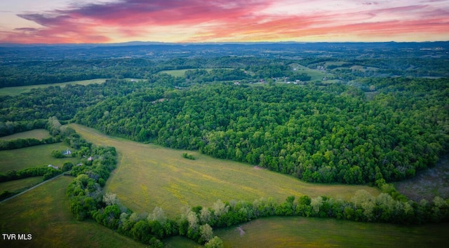 4045 S Mohawk Rd, Midway, TN 37809 - photo 5