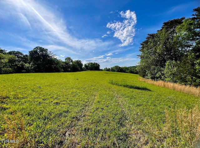 4045 S Mohawk Rd, Midway, TN 37809 - photo 11
