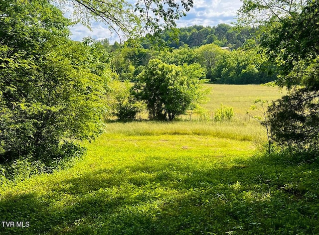 4045 S Mohawk Rd, Midway, TN 37809 - photo 15