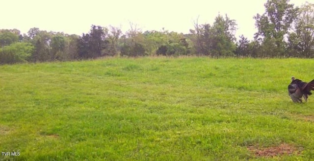 4045 S Mohawk Rd, Midway, TN 37809 - photo 18