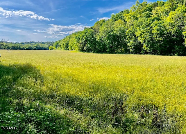 4045 S Mohawk Rd, Midway, TN 37809 - photo 22