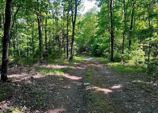 4045 S Mohawk Rd, Midway, TN 37809 - photo 29