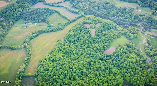 4045 S Mohawk Rd, Midway, TN 37809 - photo 30