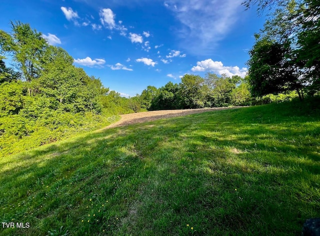 4045 S Mohawk Rd, Midway, TN 37809 - photo 36